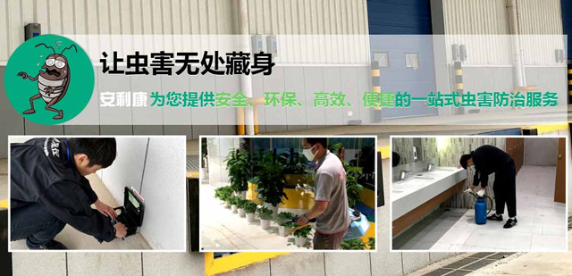 北京杀虫灭虫公司,灭蟑螂公司,灭鼠公司-安利康环保消杀公司